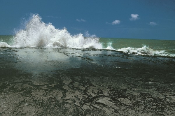 Chorwad known mainly for giant waves breaking against algae-covered rocks (photo)  od 