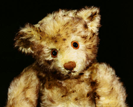 Close Up Of A Steiff ''Dual'' Mohair Teddy Bear, C, 1926 od 