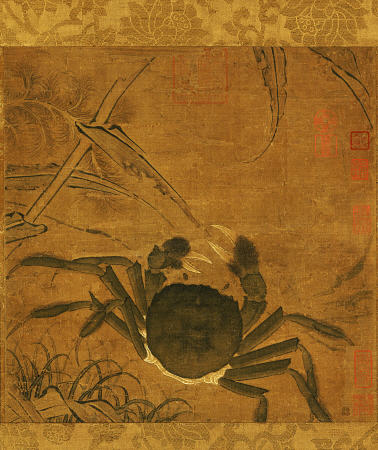 Crab Among Grass And Bamboo od 