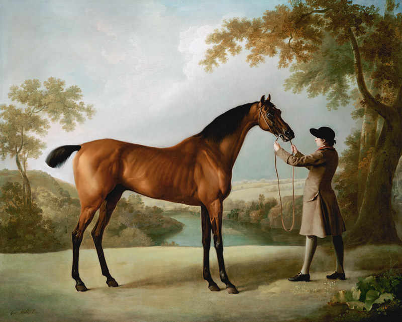 Tristram Shandy, A Bay Racehorse Held By A Groom In An Extensive Landscape od 