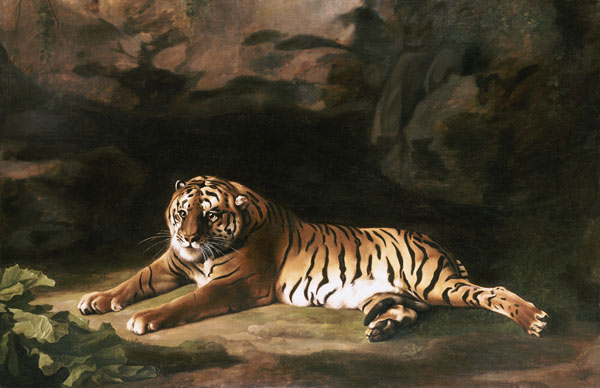 Portrait Of The Royal Tiger od 