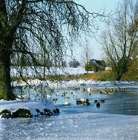 Duck Pond in Winter near Finchingfield, Essex