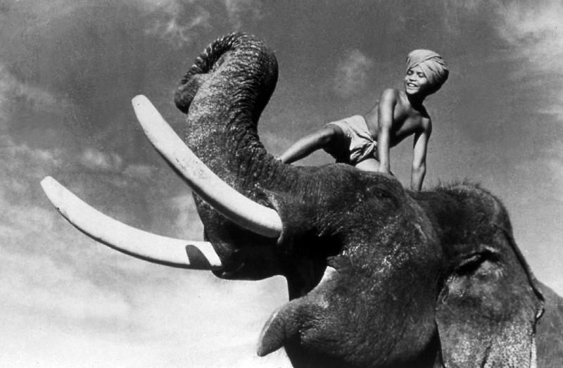 ELEPHANT BOY, de RobertFlaherty et ZoltanKorda avec Sabu od 