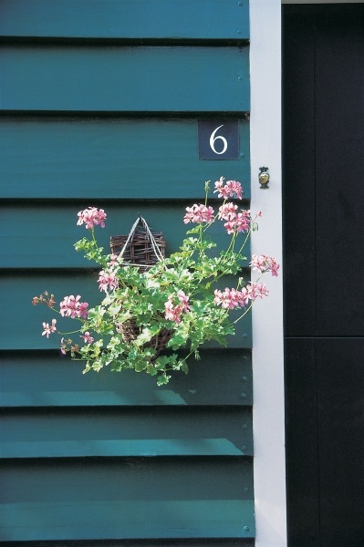 Flower-pot hung from peg on one of the door''s blue slats showing six number (photo)  od 