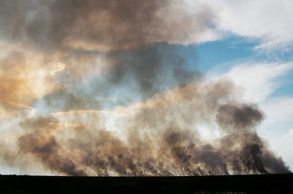 Forest Fire, Everglades National Park (photo)  od 