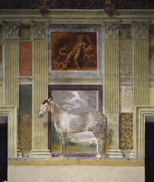Giulio Romano, Pferd der Gonzaga od 