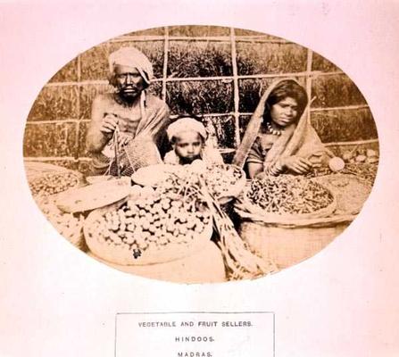 Hindu Vegetable and Fruit Sellers in Madras, 19th century (sepia photo) od 