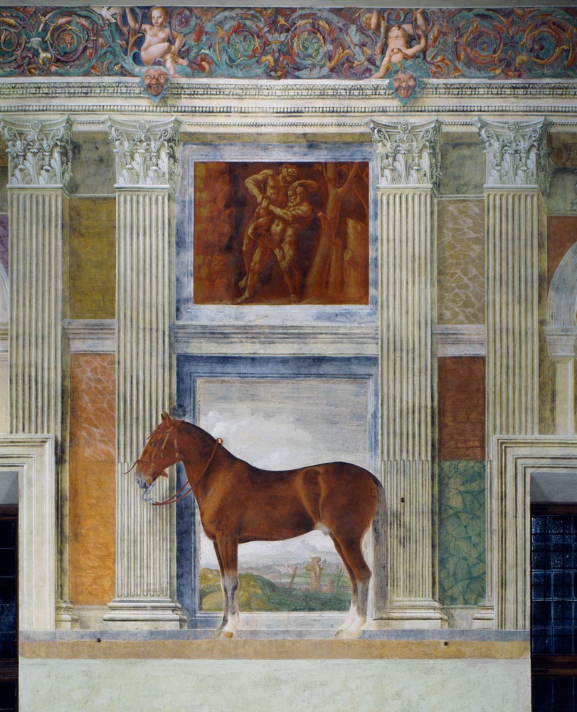 Mantua, Palazzo del Te, Sala dei Cavalli od 