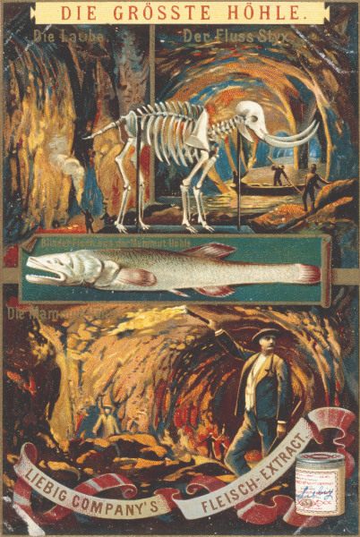 Mammoth Cave , Liebig Card od 