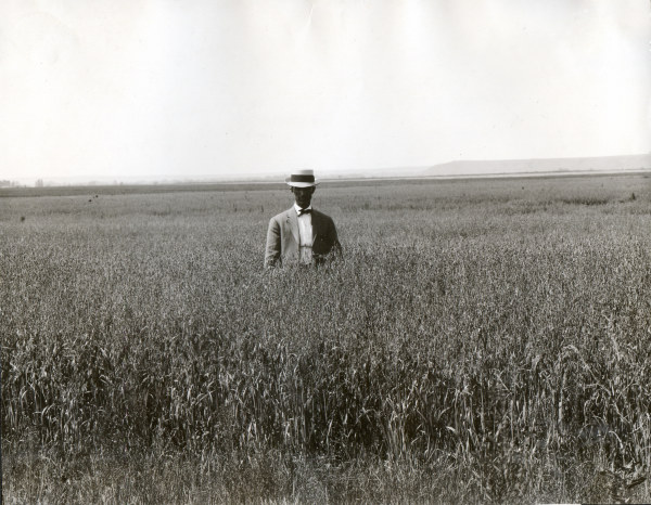 Man in oat field / South Dakota / Photo od 