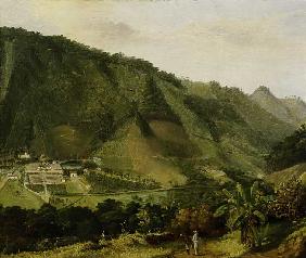 Martinique, landscape / Painting C19th