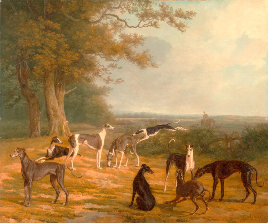Nine Greyhounds in a Landscape Signed od 