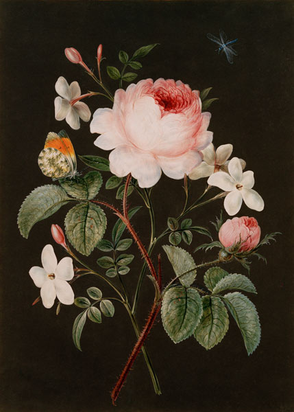 Rose and jasmine flower arrangement od 