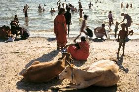 Rameshwaram beach (photo) 