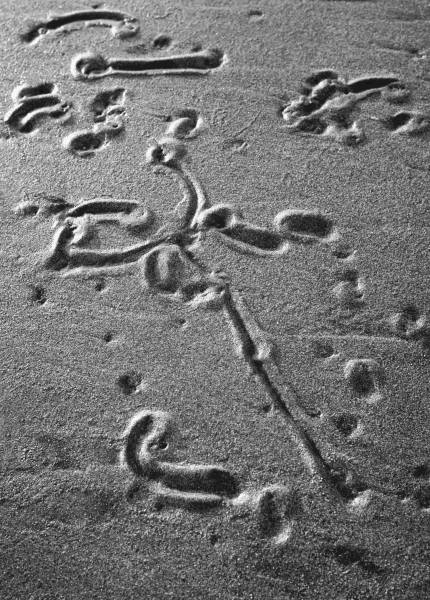 Sand surface, Porbandar II (b/w photo)  od 