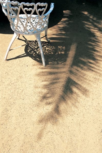 Shadow of coconut leaf straight below wrought-iron chair (photo)  od 