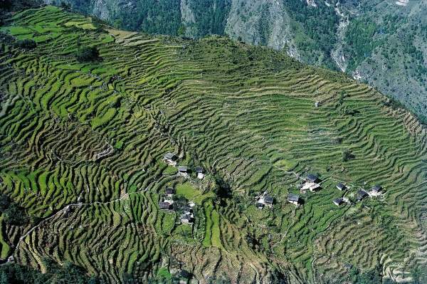 Step-fields north of Kathmandu (photo)  od 
