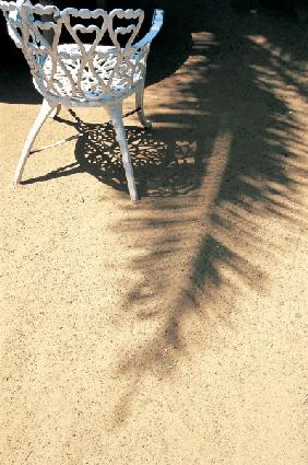 Shadow of coconut leaf straight below wrought-iron chair (photo) 