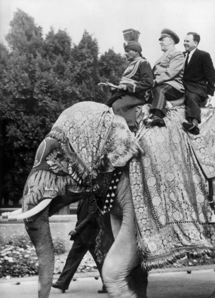 The field marshal Georgi Joukov, soviet Defence minister in New Delhi in India on an elephant od 