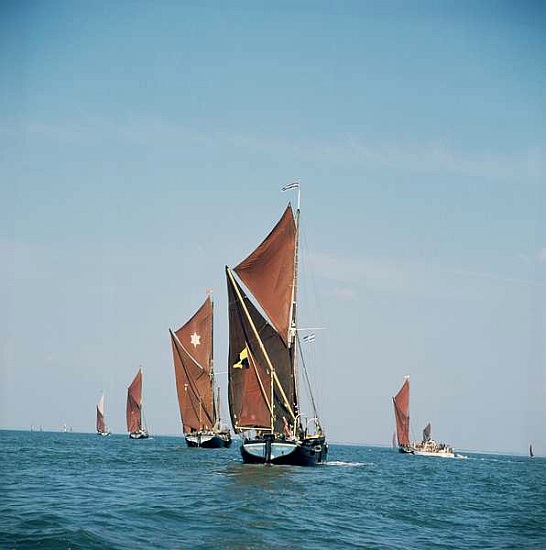 Thames Barge Race od 