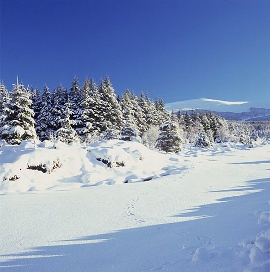 The Wicklow Mountains in Winter od 