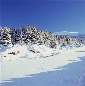 The Wicklow Mountains in Winter