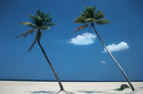 Typical beach of Goa (photo)  od 