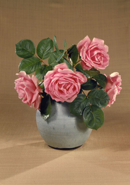 Vase mit rosafarbenen Rosen / Foto od 