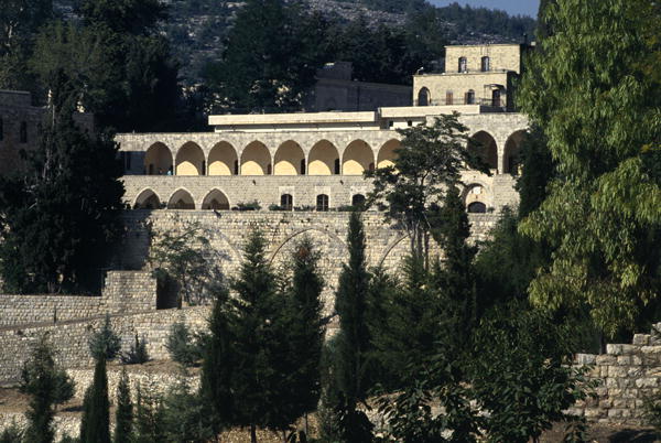 View of the palace (photo)  od 