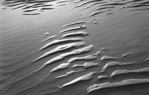 Wet sand, Porbandar (b/w photo)  od 