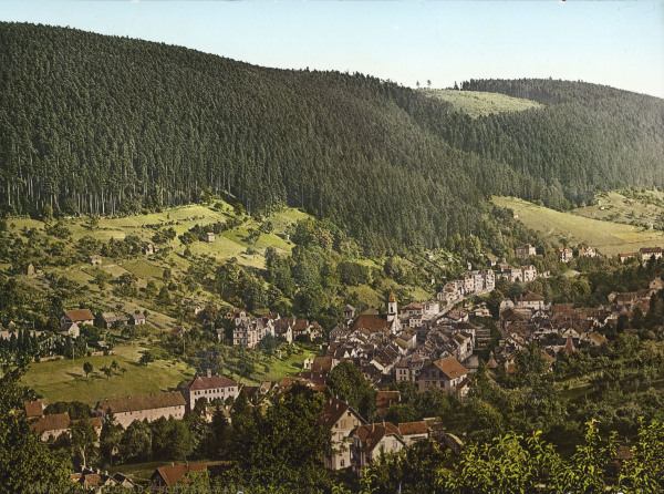 Wildbad, Town view od 