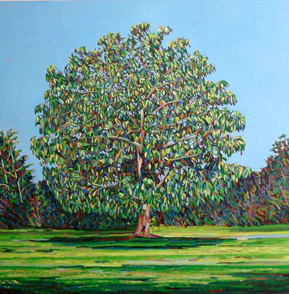 Bow Tree Summer od Noel Paine