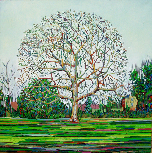 Bow Tree Winter od Noel Paine