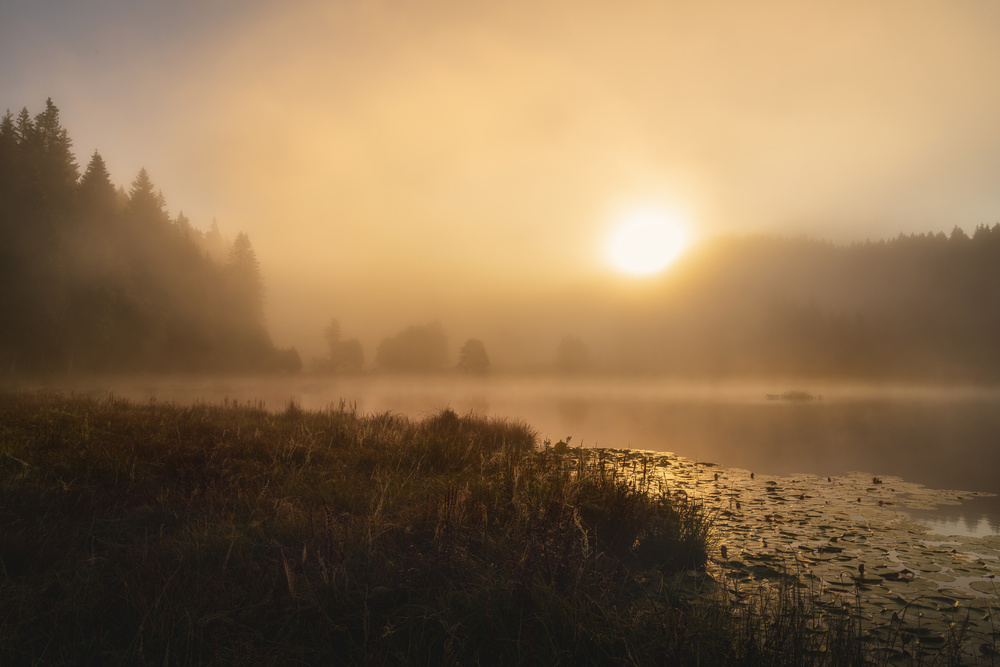 The incredible light of an October morning od Norbert Maier