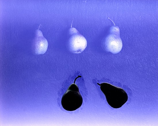 Blue Pears (after Wm. Scott) 2005 (colour photo)  od Norman  Hollands