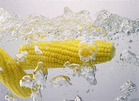 Boiling sweetcorn, 2003 (colour photo)  od Norman  Hollands