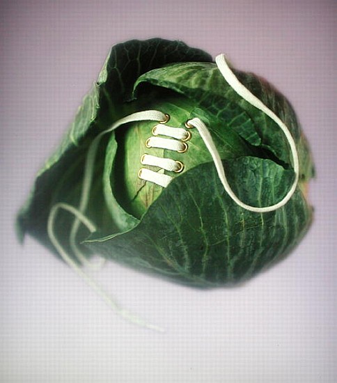 Cabbage with laces, 2000 (colour photo)  od Norman  Hollands