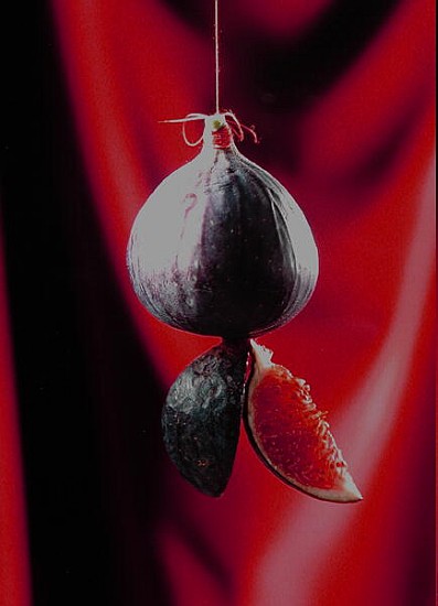 Fig on a string with segments, 2003 (colour photo)  od Norman  Hollands