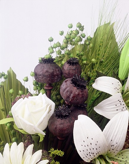 Seed pod Bouquet, 1999 (colour photo)  od Norman  Hollands