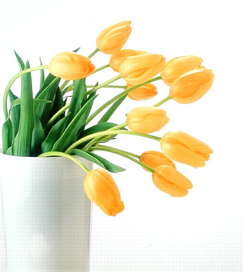 Yellow tulips I, 1999 (colour photo)  od Norman  Hollands