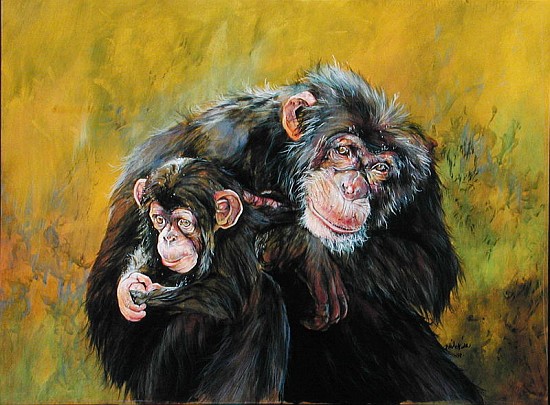 Chimpanzees (acrylic on canvas)  od Odile  Kidd