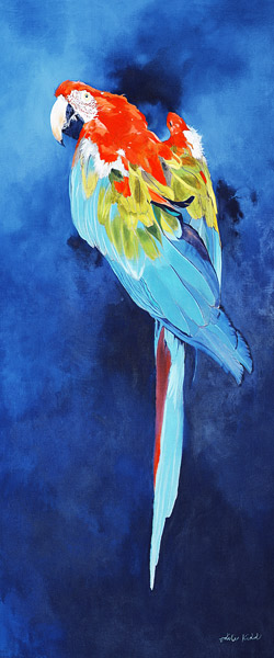 Red and Blue Macaw, 2002 (acrylic on linen)  od Odile  Kidd