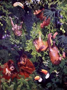 Orangutangs and Toucans, 1998 (inks, acrylics and pencil crayon on canvas) 