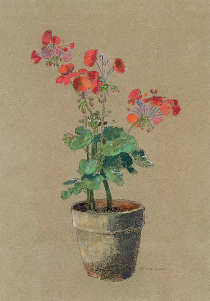 Geraniums in a pot (pastel) od Odilon Redon