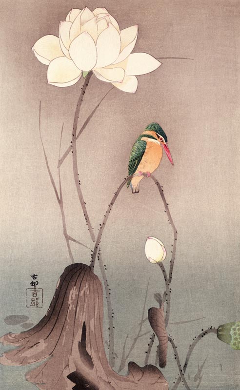 A Kingfisher and a lotus od Ohara Shôson