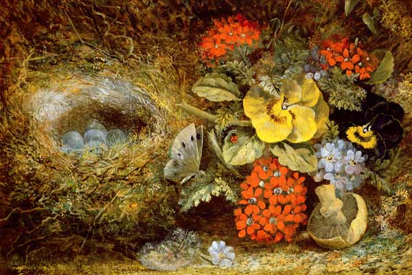 Flowers and Bird's Nest with Butterfly and Mushroom od Oliver Clare