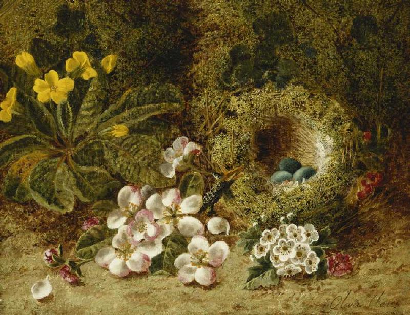 Apfelblüten, eine Primel und ein Vogelnest im Moos. od Oliver Clare