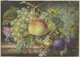 Fruchtstück, ein Korb mit Trauben und Pfirsichen, dabei eine Nuss und zwei Pflaumen
