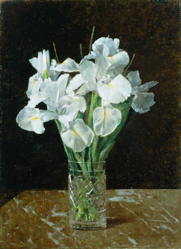 Irises od Otto Franz Scholderer