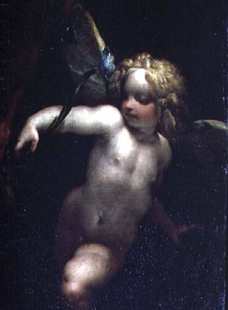 The Martyrdom of SS. Rufina and Seconda, known as the 'three-handed picture', detail of an angel, pa od P. Crespi